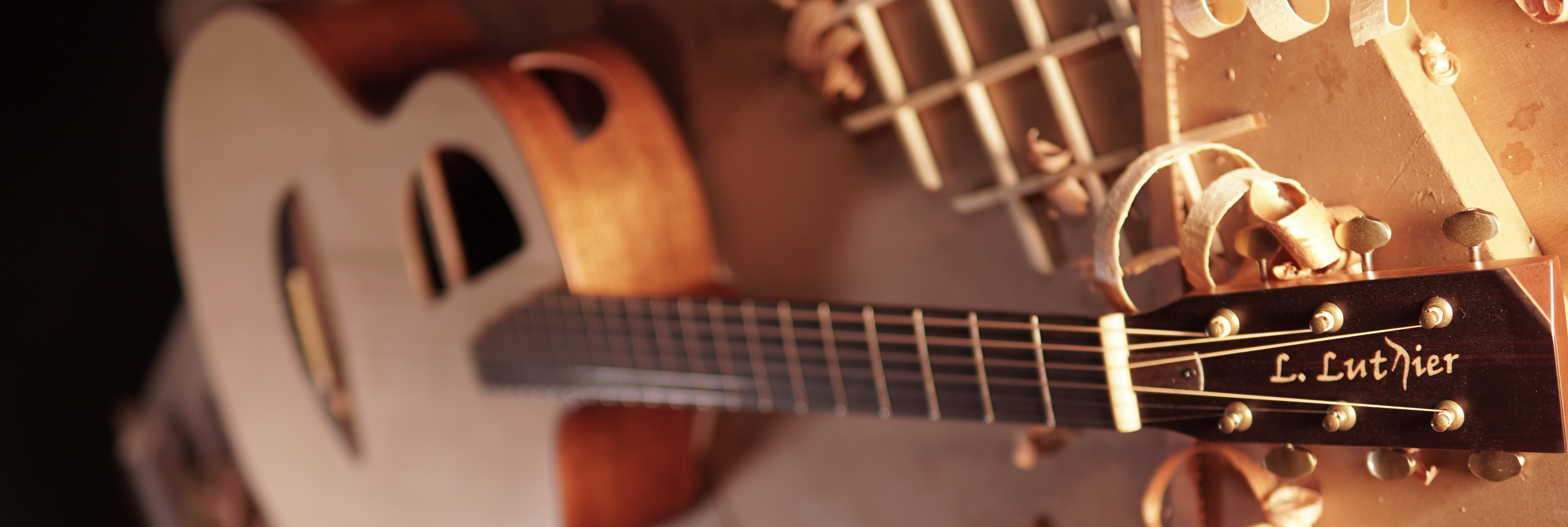 l.luthier guitars banner