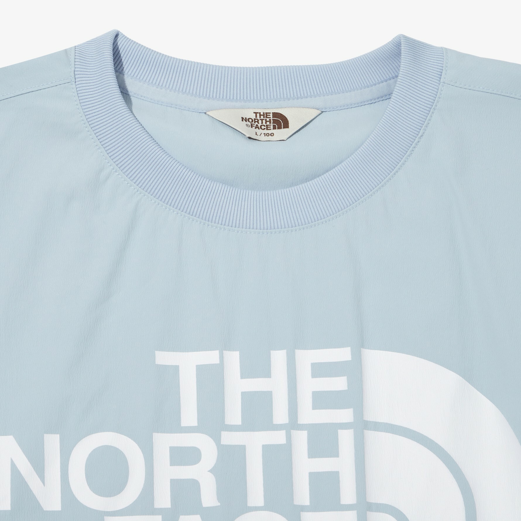 THE NORTH FACE ICE RUN CREWNECK 大LOGO 藍 長袖 NM5MN05M