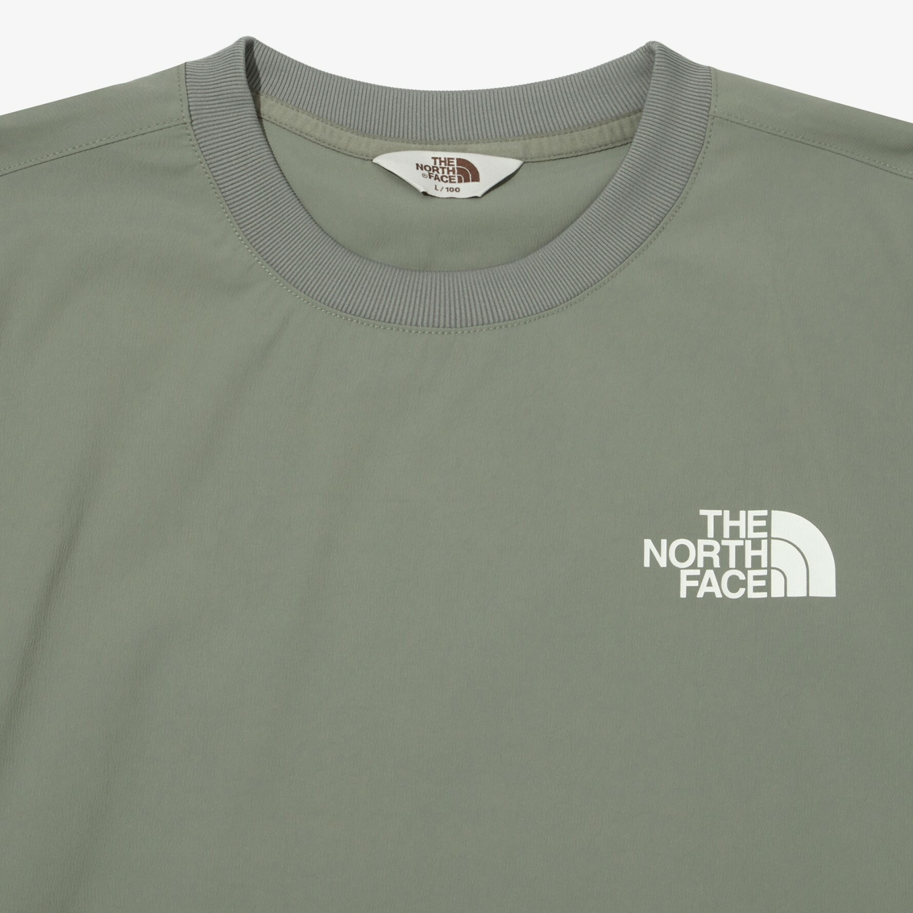 THE NORTH FACE ICE RUN CREWNECK LOGO 淺綠色 長袖 NM5MN05L