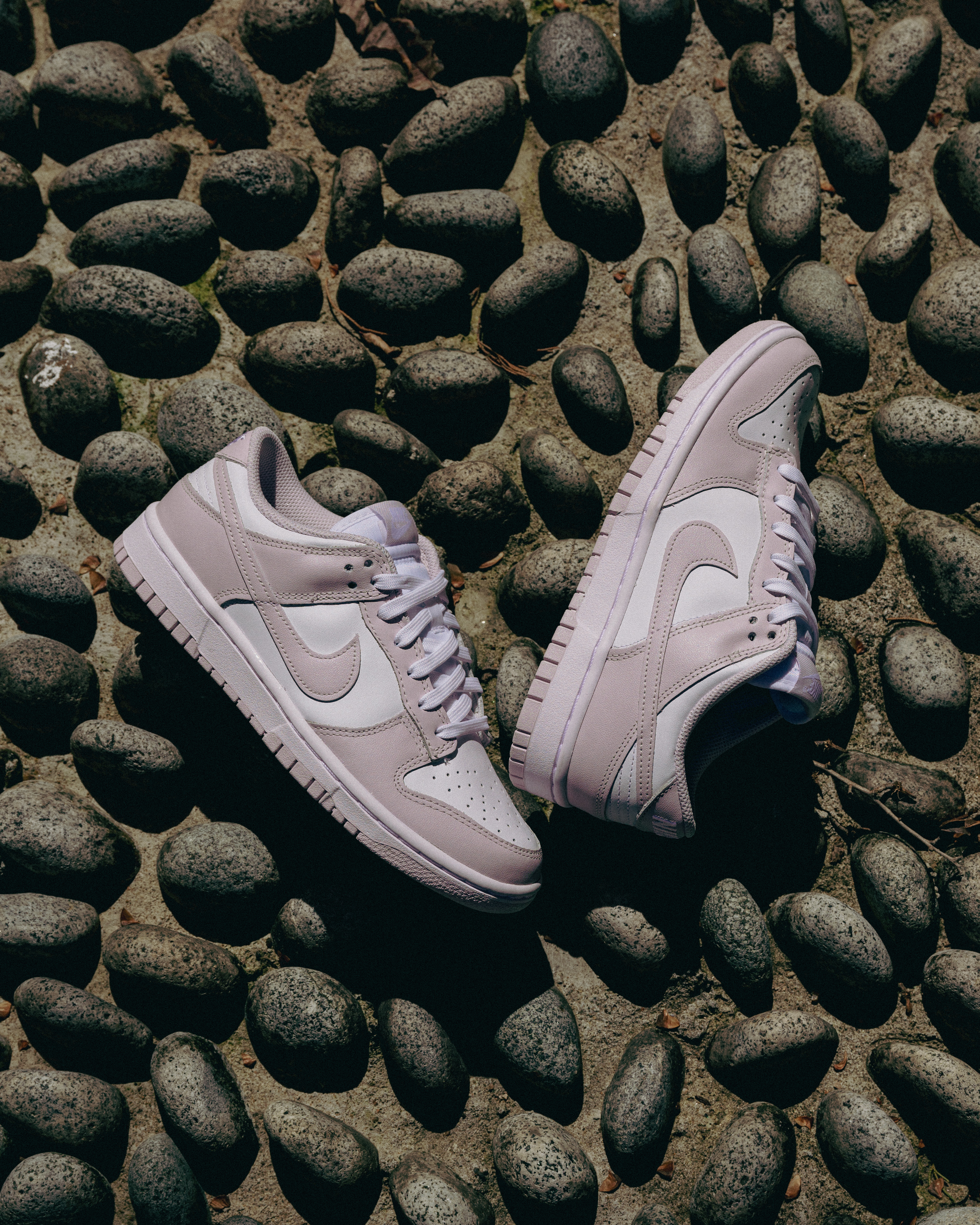 [現貨] Nike Dunk Low Venice DD1503-116