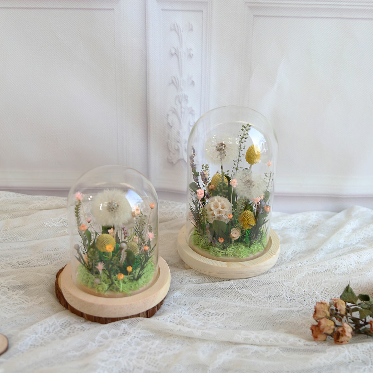 S22｜蒲公英自然系罩盅