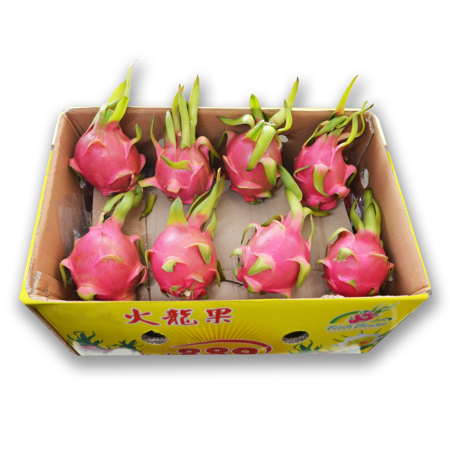 越南白肉火龍果 [原箱|大裝]