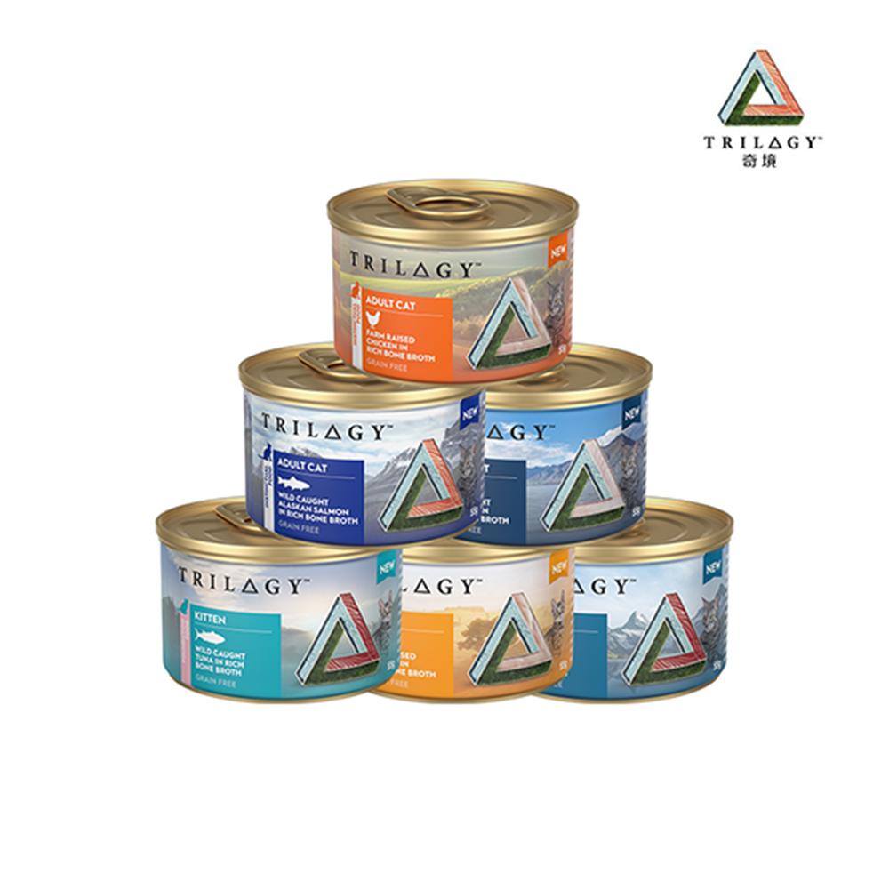 奇境 無穀貓罐 55g