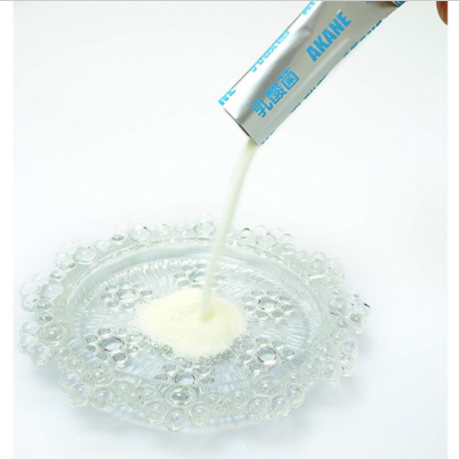 AKANE 寵物專用乳酸菌1g．45入