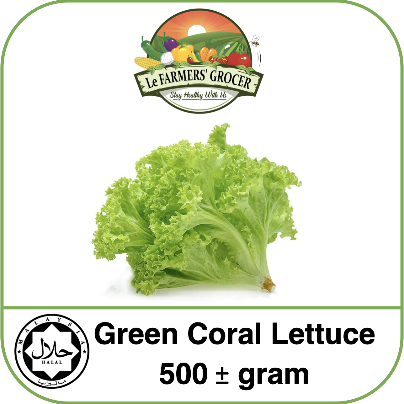 Green Coral Lettuce (500g)