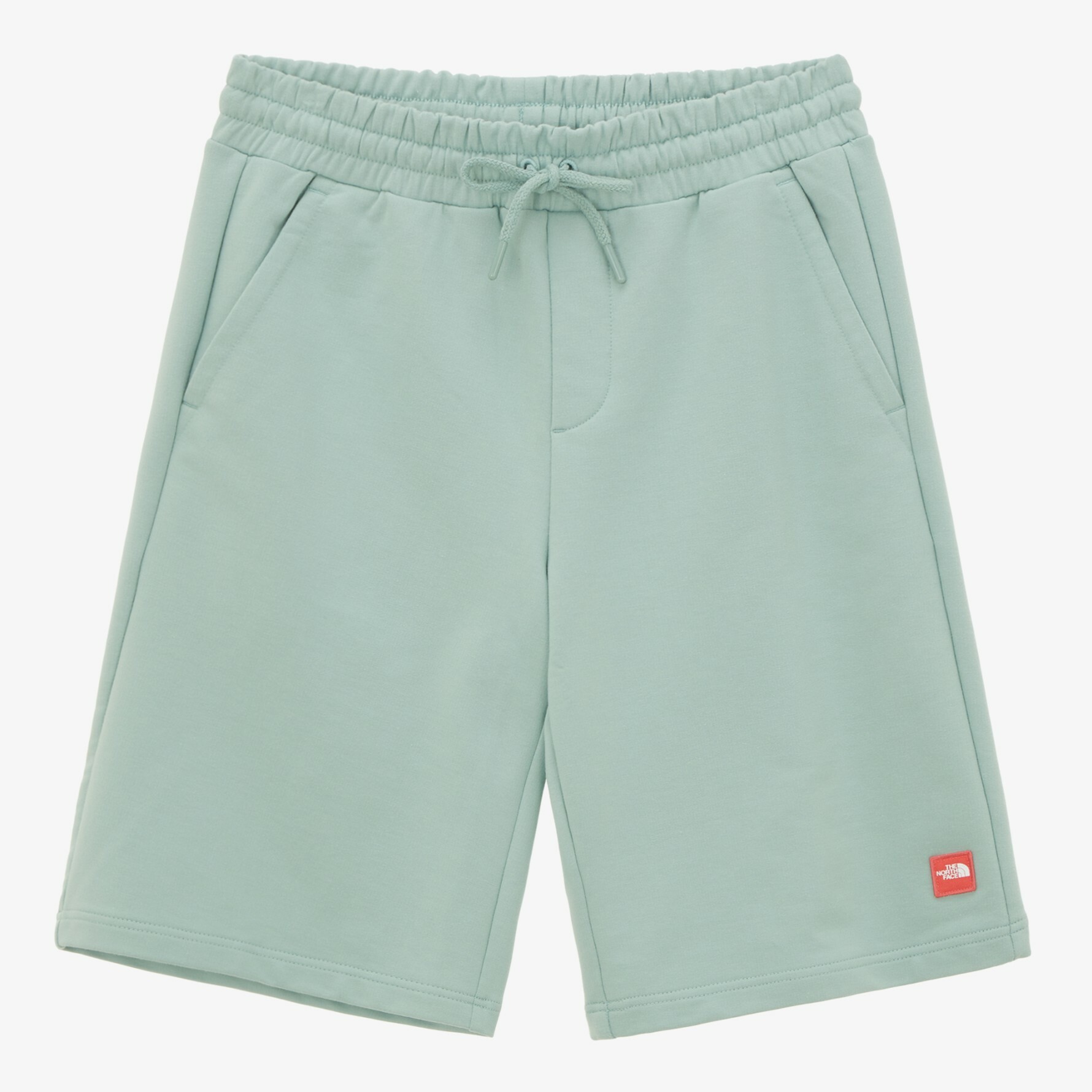THE NORTH FACE COMFY SHORTS 白標限定 茶色短褲 刺繡LOGO NS6KN01N