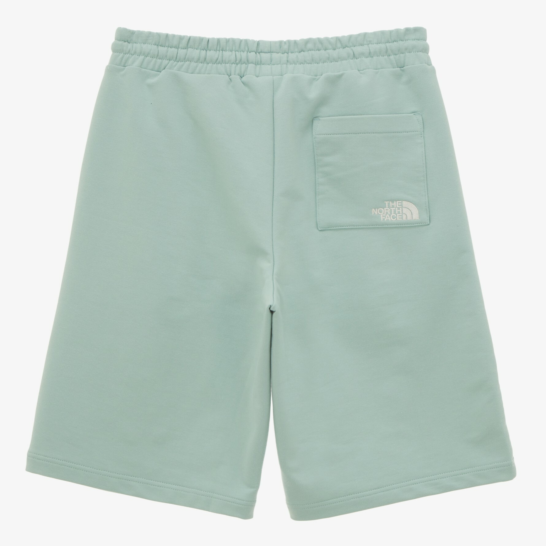 THE NORTH FACE COMFY SHORTS 白標限定 茶色短褲 刺繡LOGO NS6KN01N