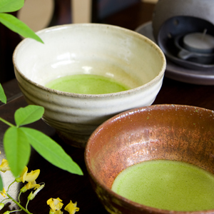 星野製茶園 星野抹茶 八女の露 八女之露 【綠茶 / 八女茶】