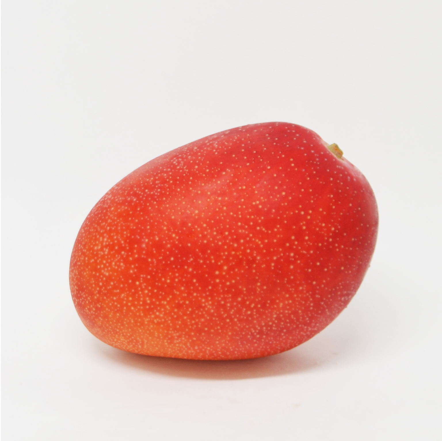 Premium Miyazaki Mango [1pc]