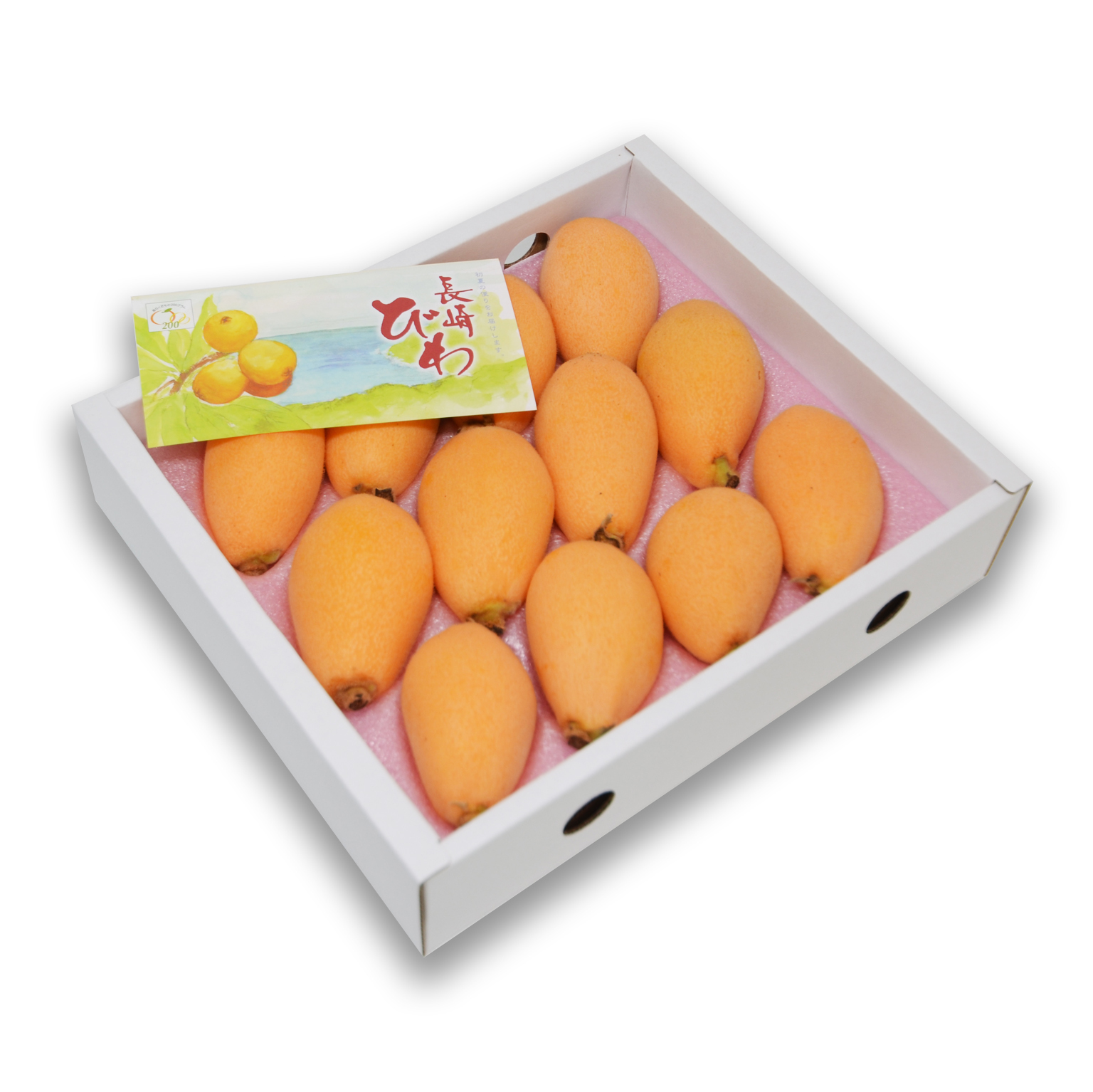 日本長崎 枇杷  [禮盒裝]