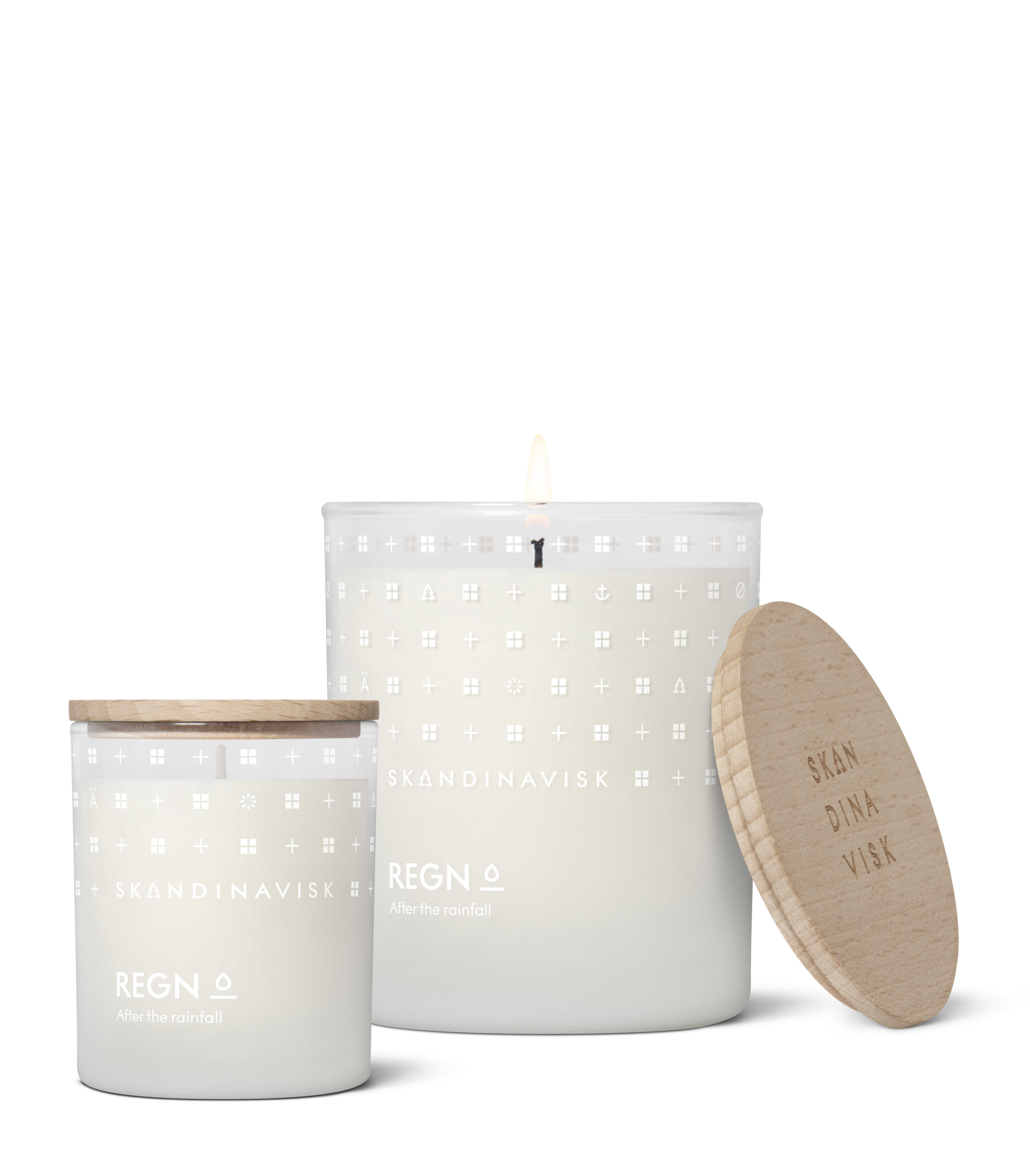 REGN 迷霧雨林香氛蠟燭