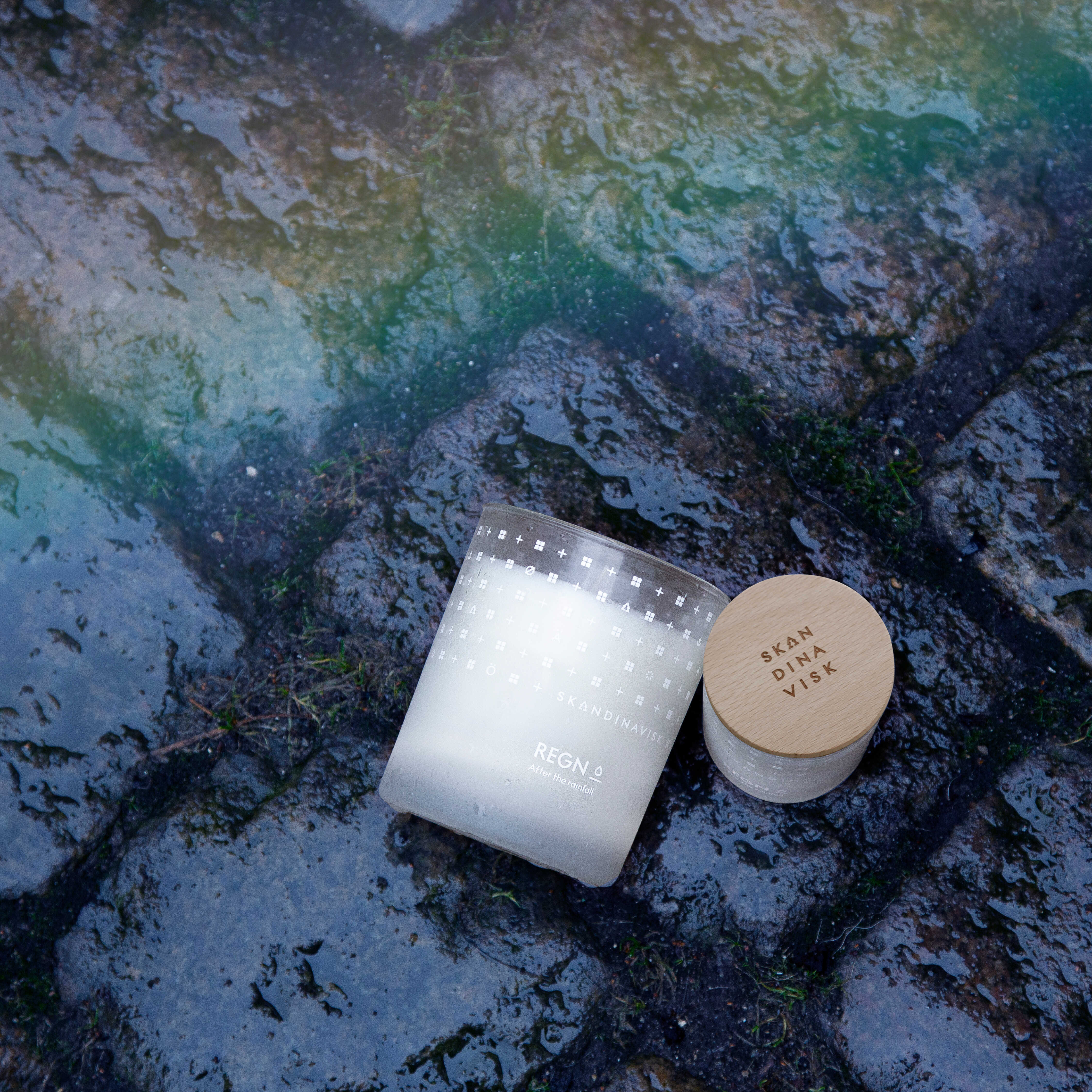 REGN 迷霧雨林香氛蠟燭