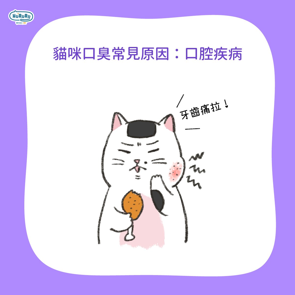 貓咪口臭常見原因，口腔疾病