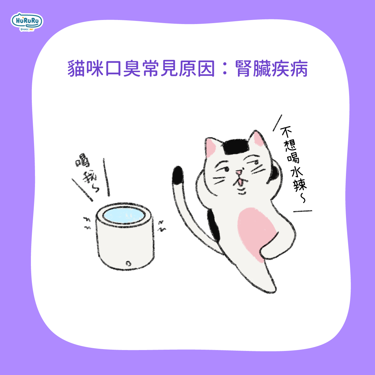 貓咪口臭常見原因，腎臟疾病