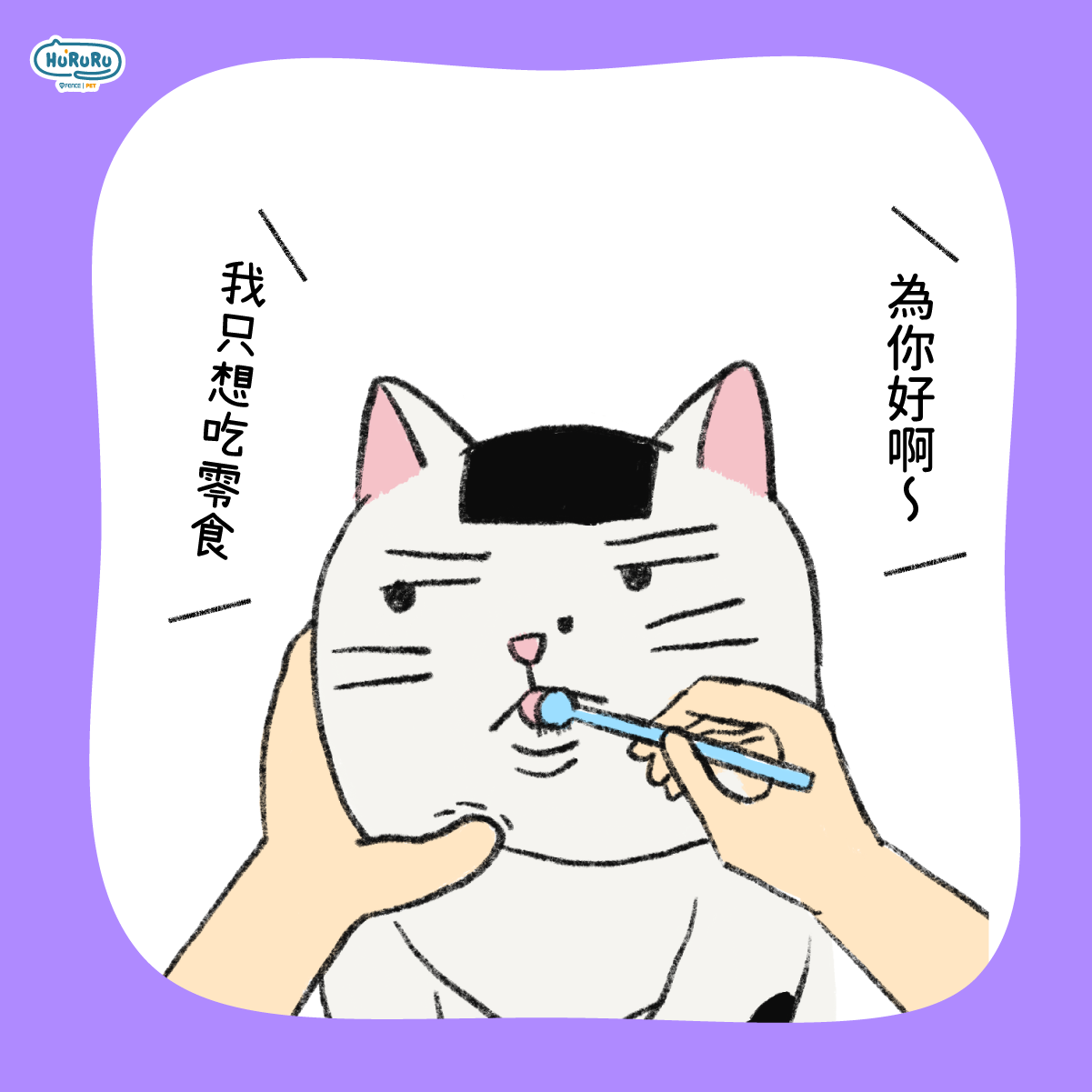 培養寵物刷牙習慣