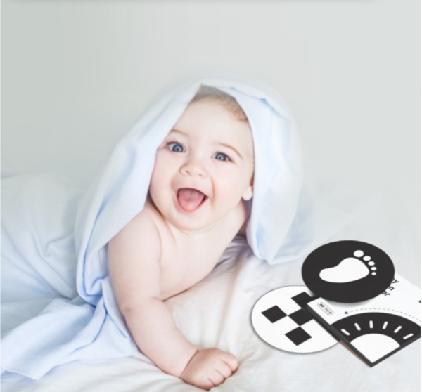 早教視覺激發彩色認知卡 WBL4