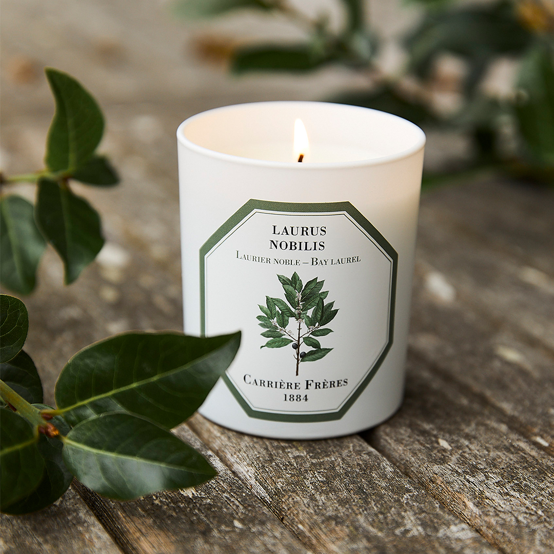 Carrière Frère 月桂葉香氛蠟燭