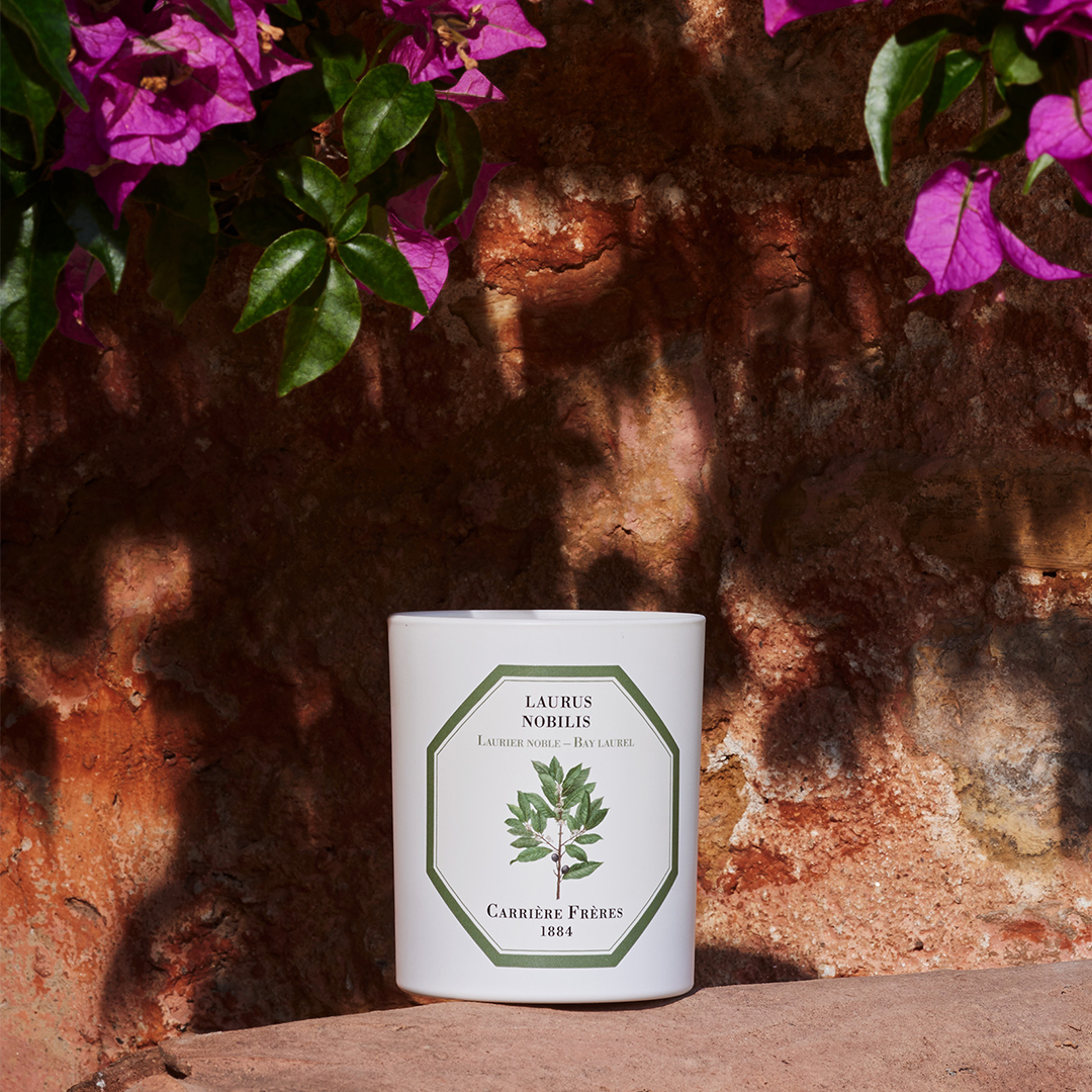 Carrière Frère 月桂葉香氛蠟燭