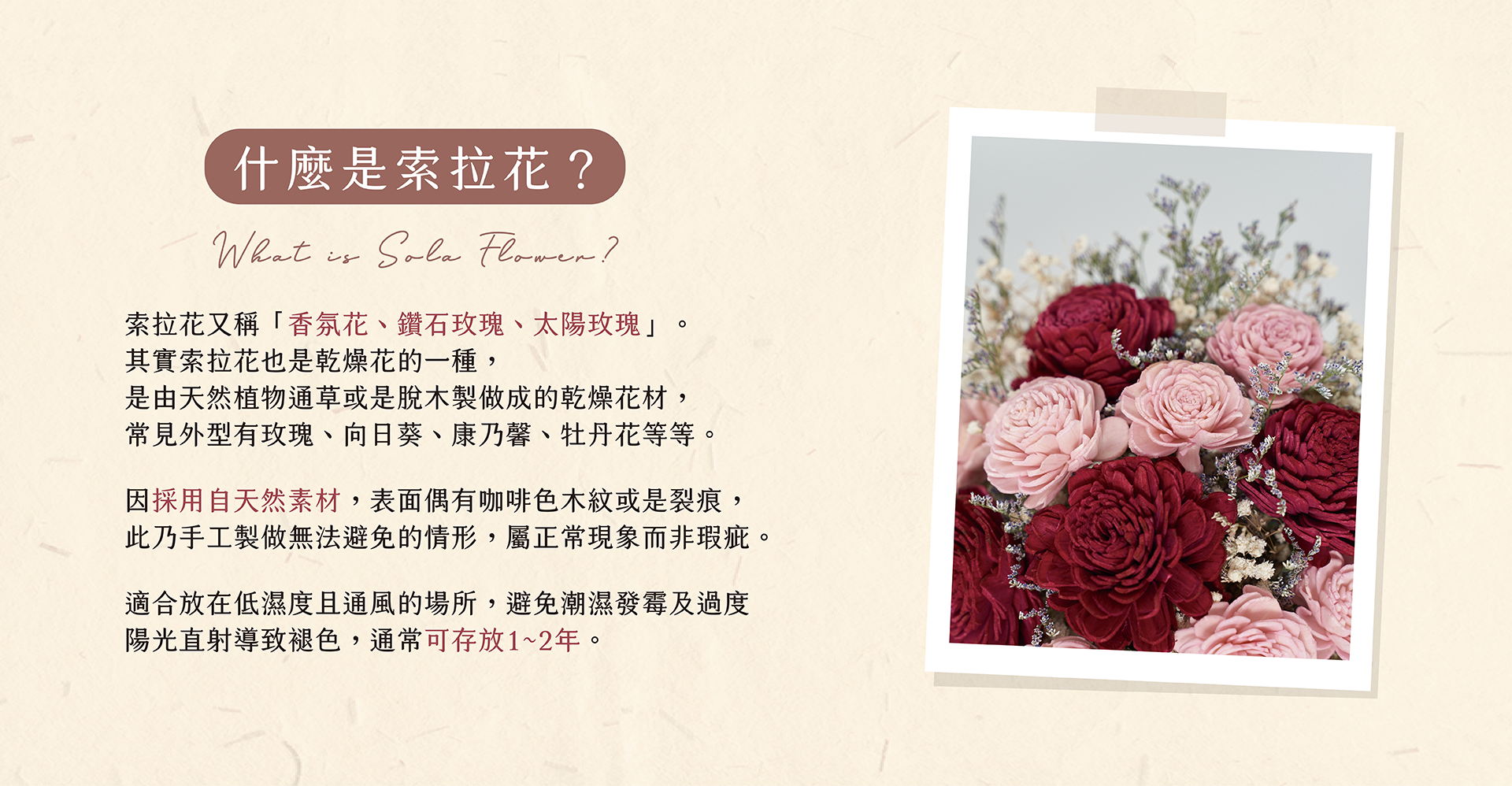 新竹乾燥花店小薇花藝向你介紹什麼是索拉花？什麼是香氛花？它們和天然乾燥花有什麼不同？