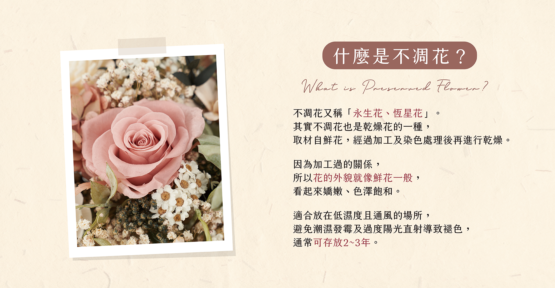 新竹乾燥花店小薇花藝向你介紹什麼是不凋花(永生花)？不凋花如何保存？為什麼不凋花看起來那麼像鮮花呢？