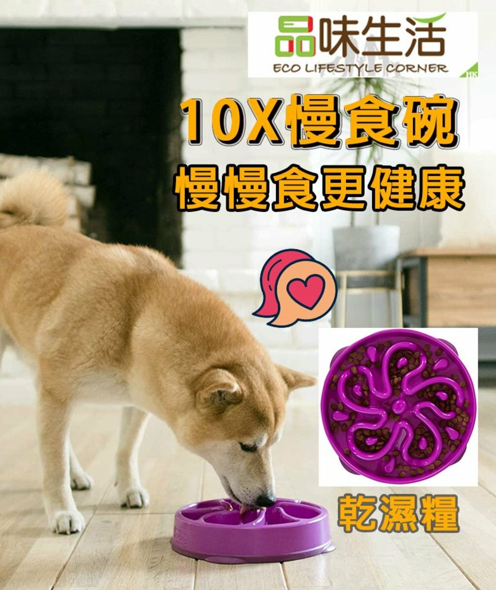 Outward Hound-10倍慢速好玩慢食碗 (紫) (中)