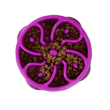 Outward Hound-10倍慢速好玩慢食碗 (紫) (中)