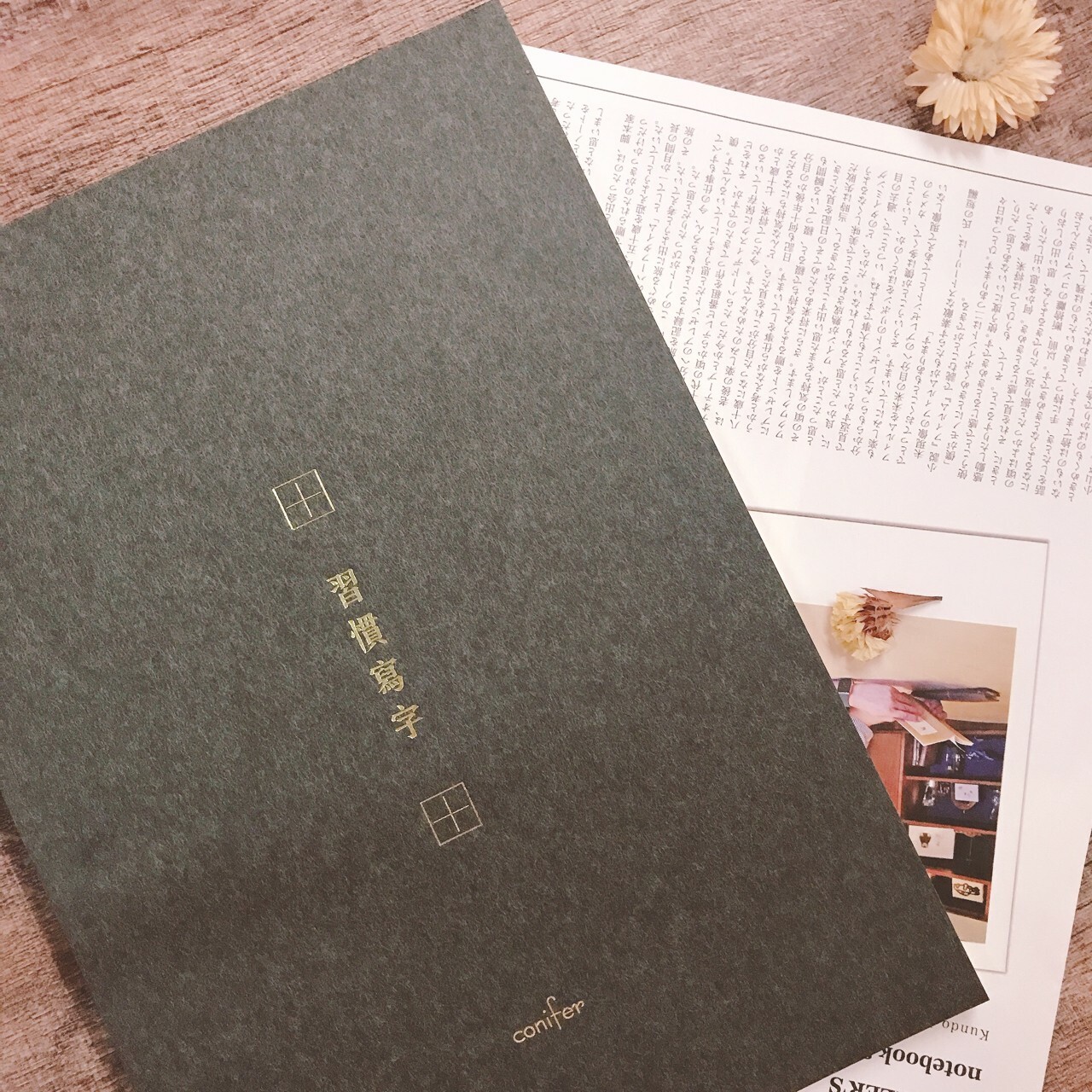 綠的｜習慣寫字 田字格