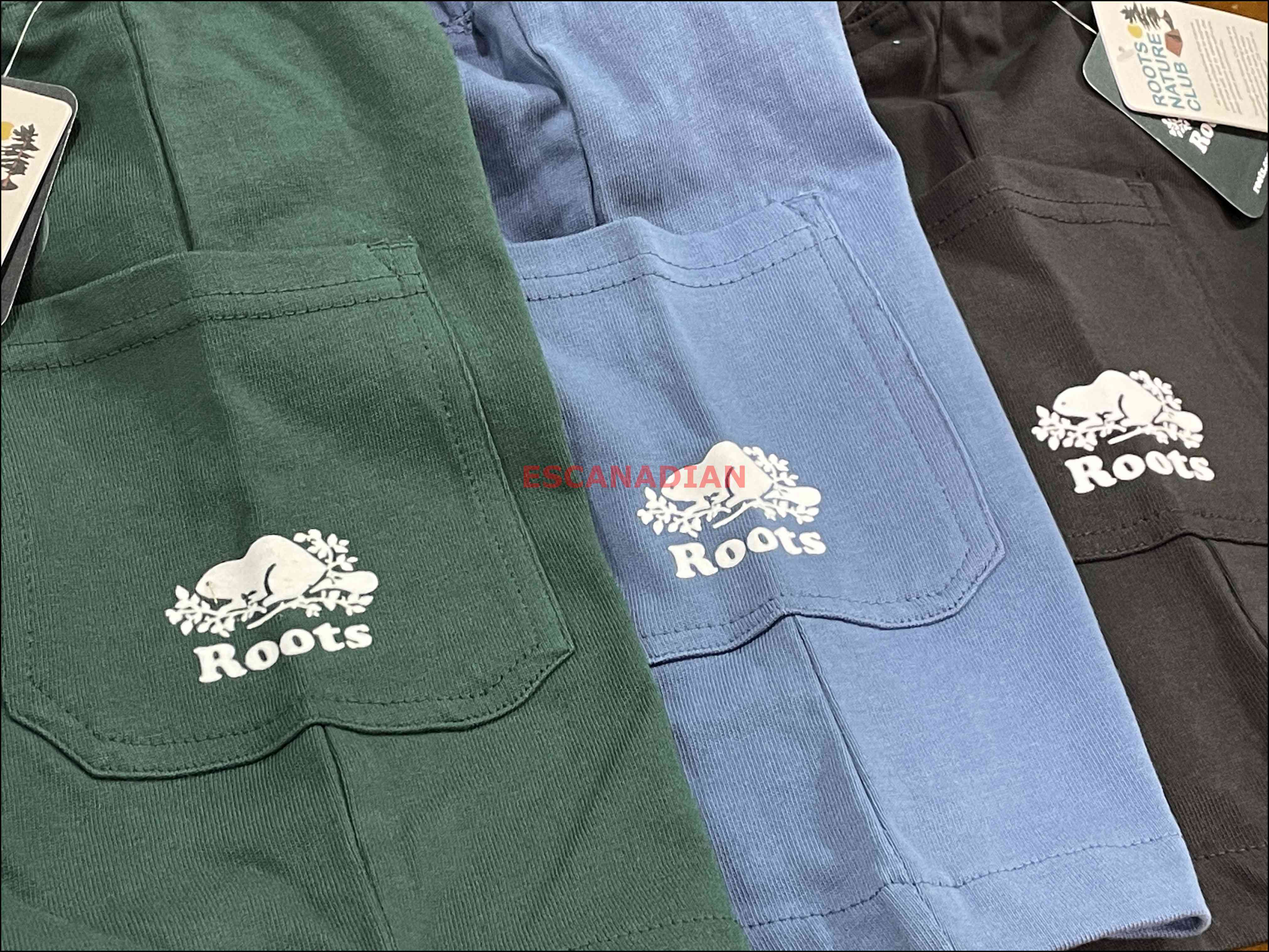 ROOTS 男大童 海狸Logo 口袋 棉短褲 (3色)