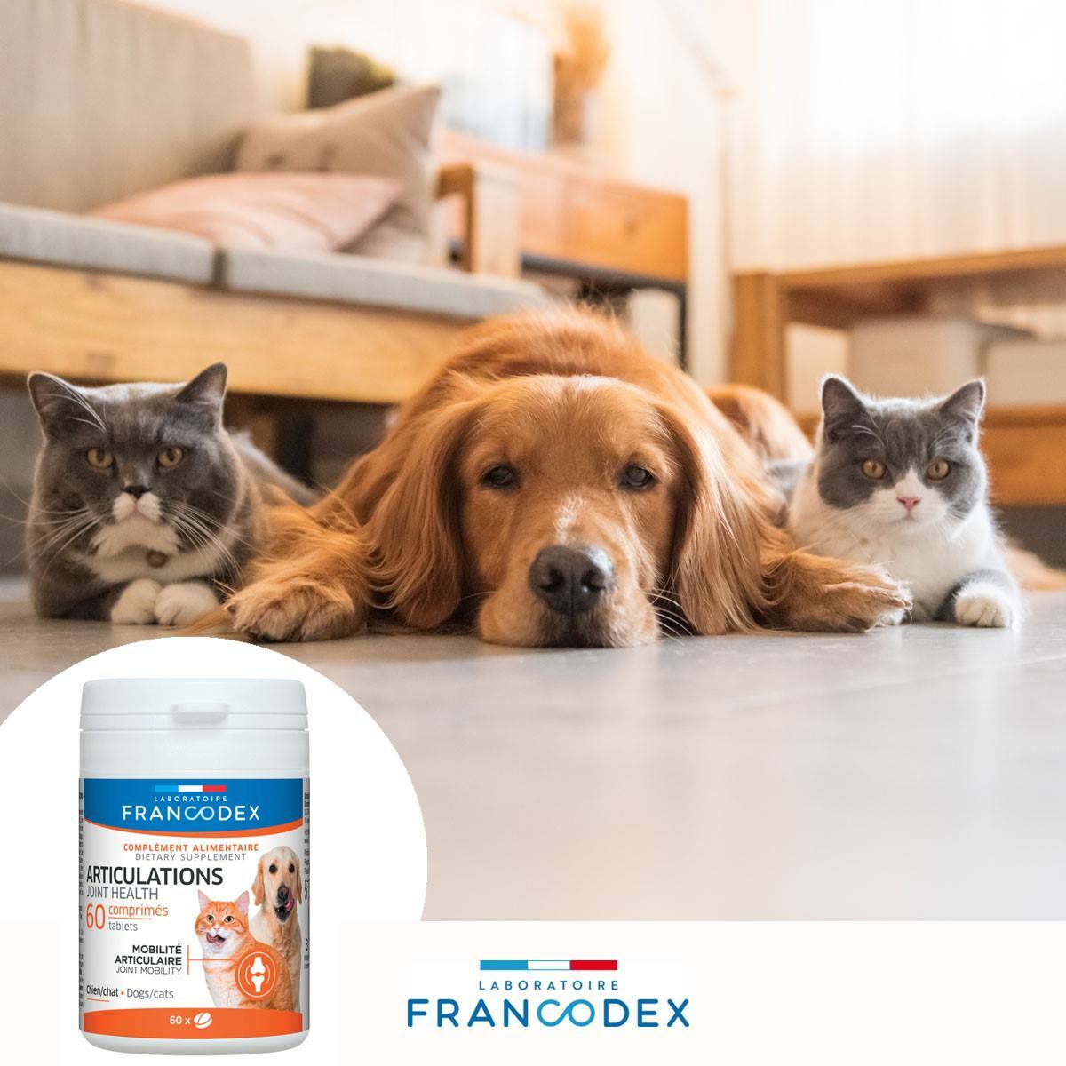 Francodex 貓狗合用．關節丸60粒