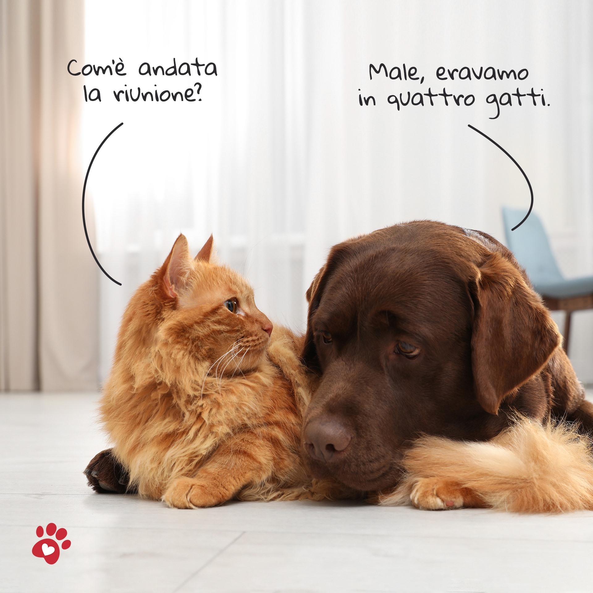 Orme Naturali StruviPet for Dog and Cat 100g