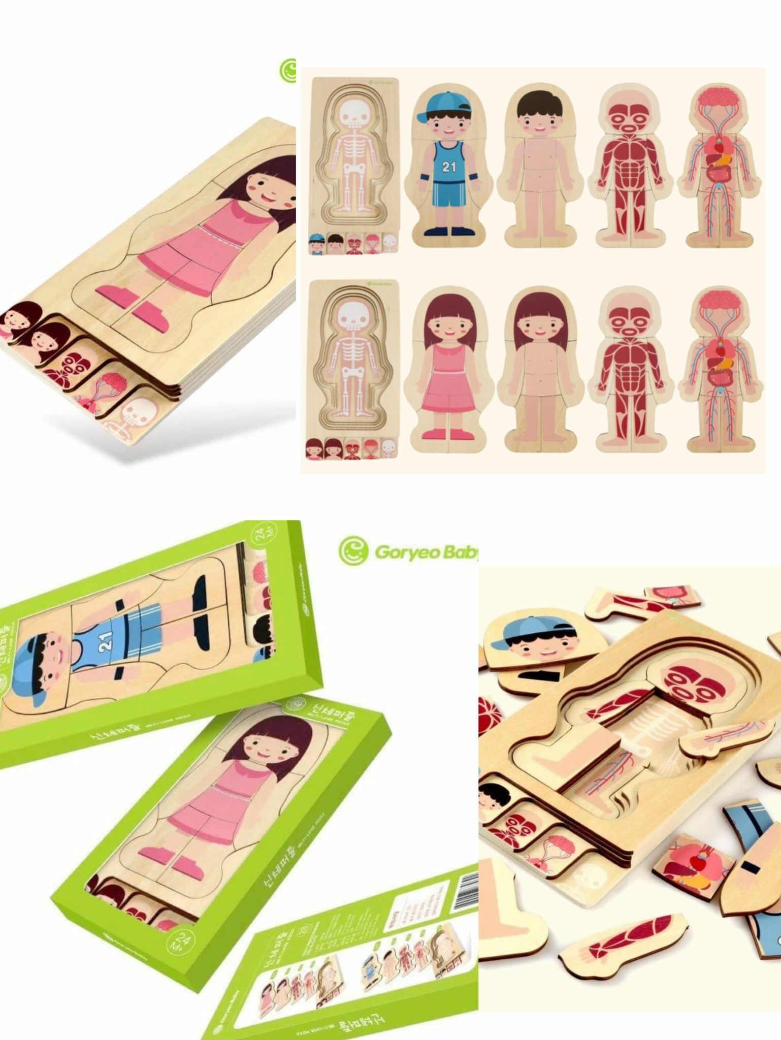 🔶韓國🇰🇷Goryeo Baby木製人體👤結構拼圖