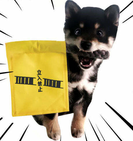 Kashima立入禁止旗寵物玩具