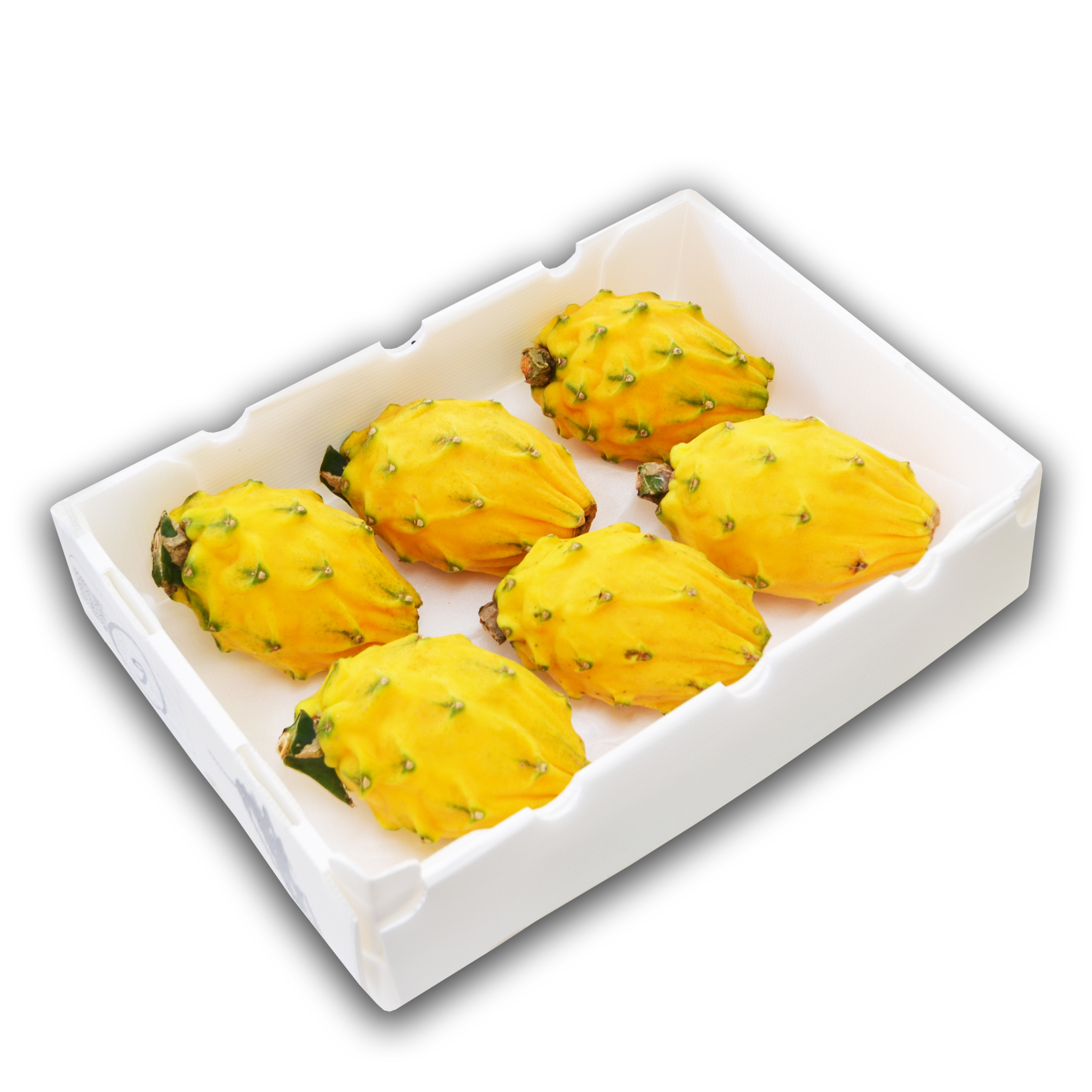 厄瓜多爾 麒麟果 [原箱|大裝]