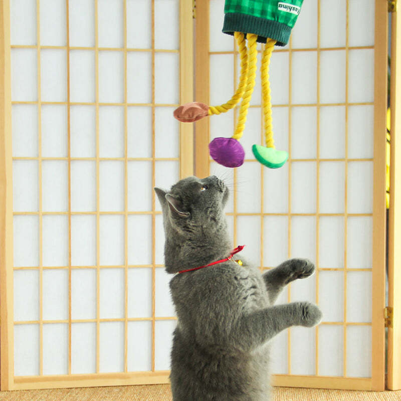Kashima果蔬脆貓狗啃咬玩具