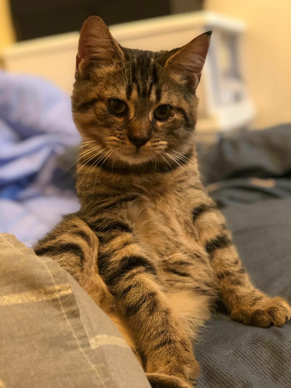 牠的名字叫金金 - PP1241