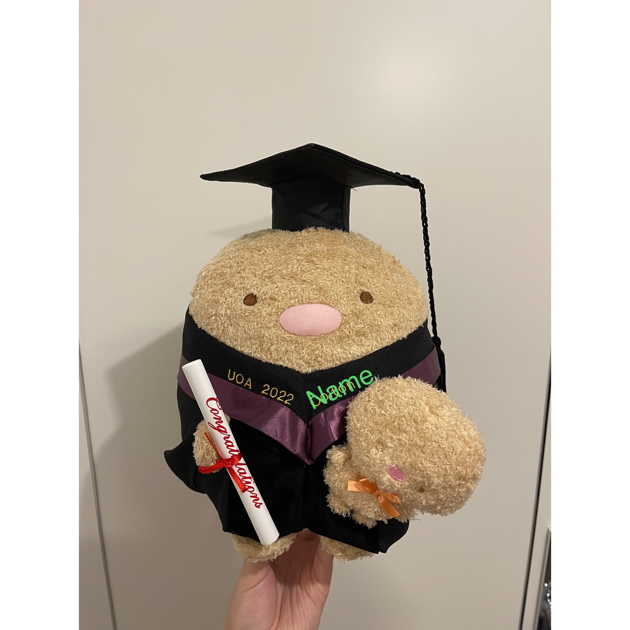 角落生物-炸豬扒 畢業公仔