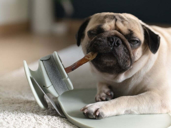 LUNOJI - CHEWDEN 互動式慢食咀嚼座(三套件組合)