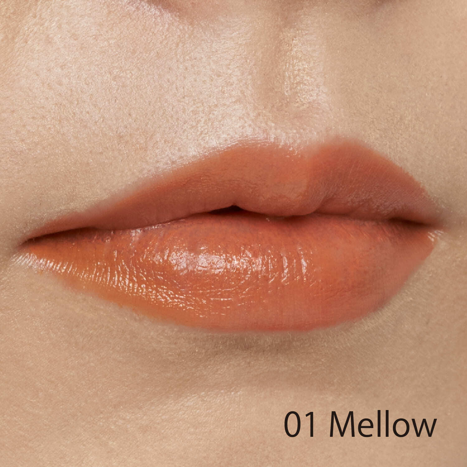 SNIDEL BEAUTY Rouge Snidel Matte