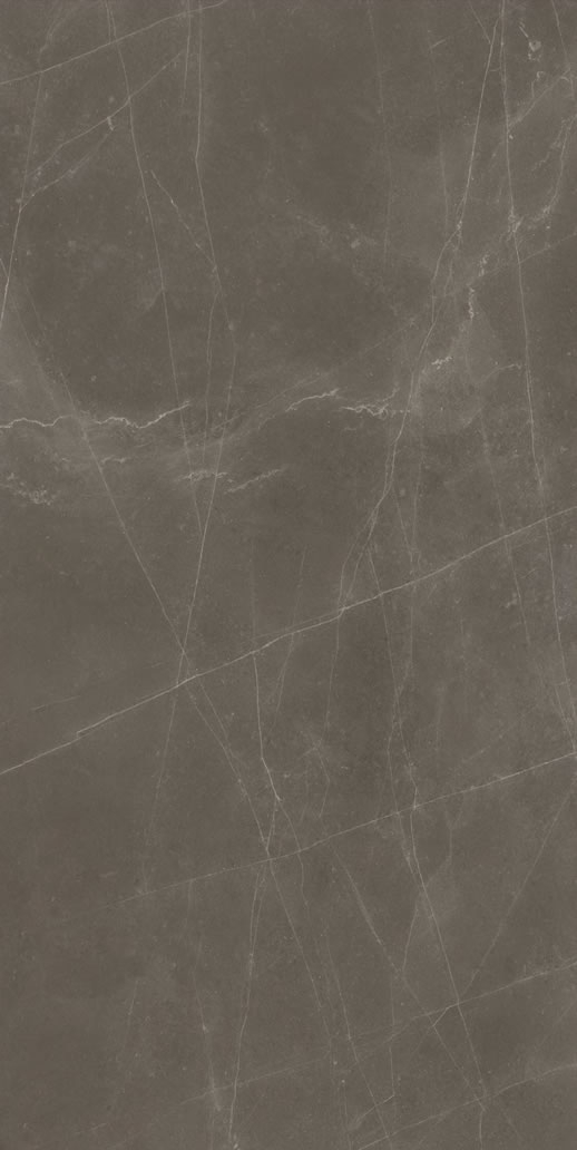 ELT61211