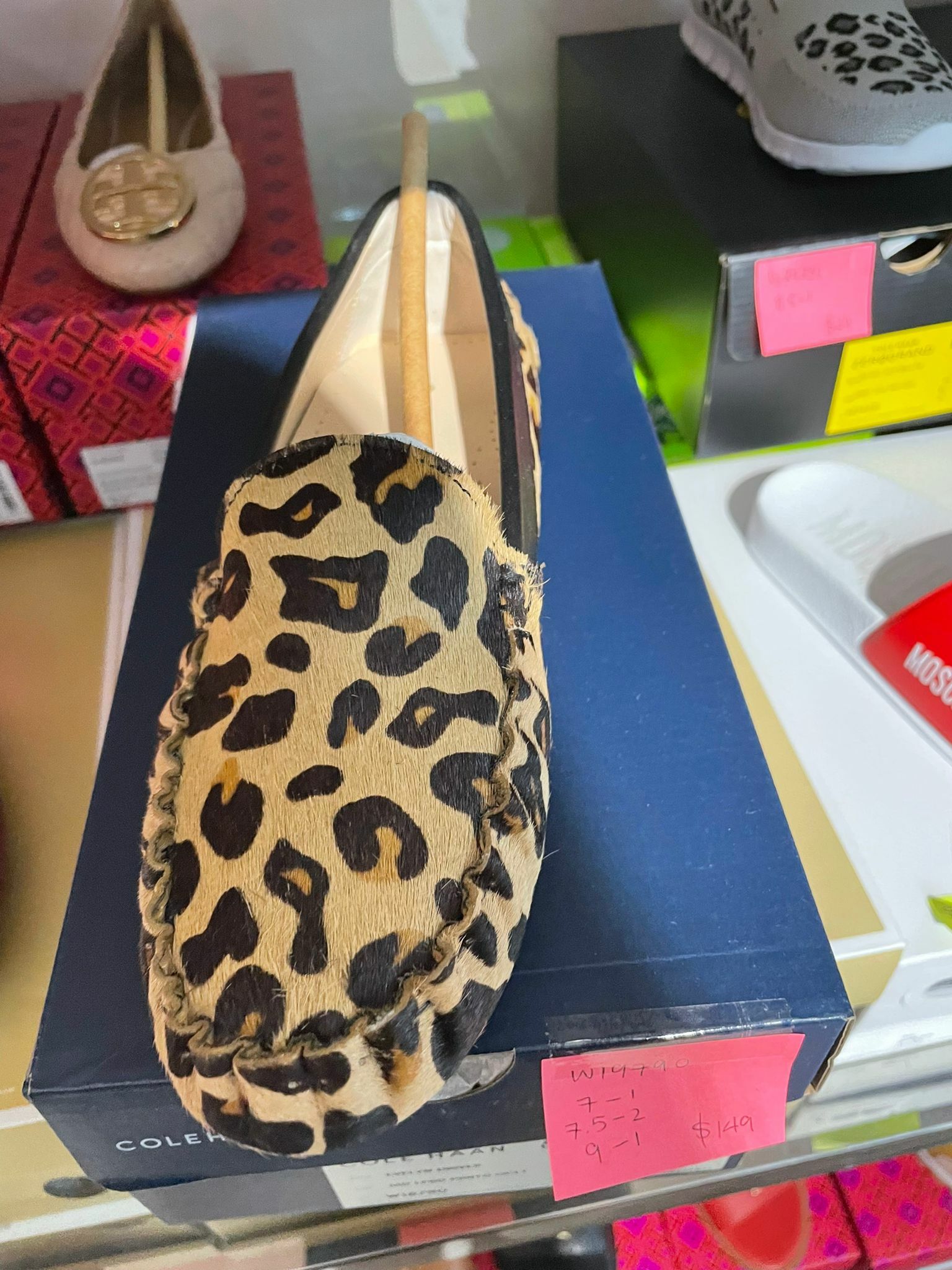 [S] COLEHAAN EVELYN DRIVER MD LPRD PRNTD OCLT, W19790 [FINAL SALE] (SCH12)