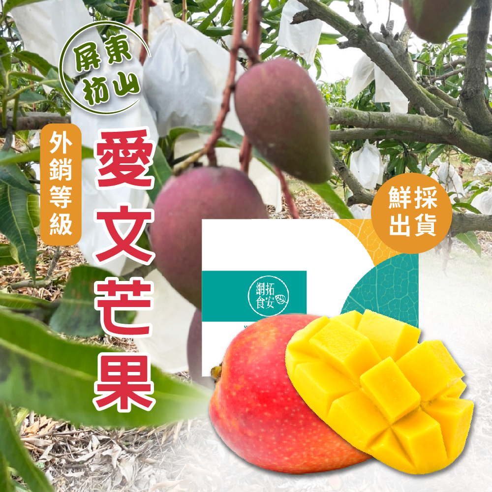 芒果，枋山芒果，愛文芒果，禮盒，網拓食安