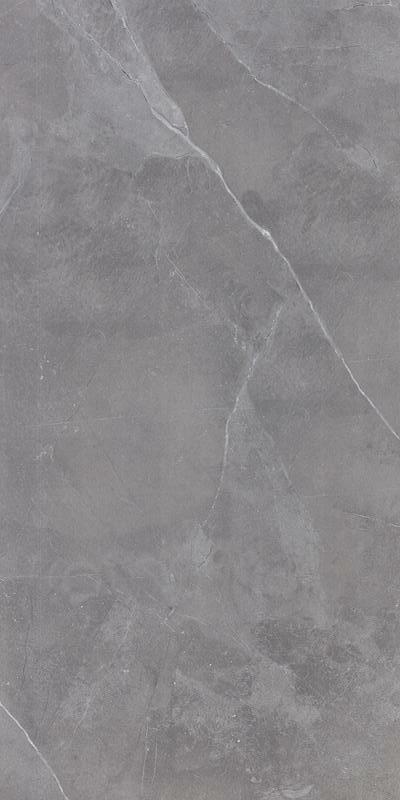 EART61203