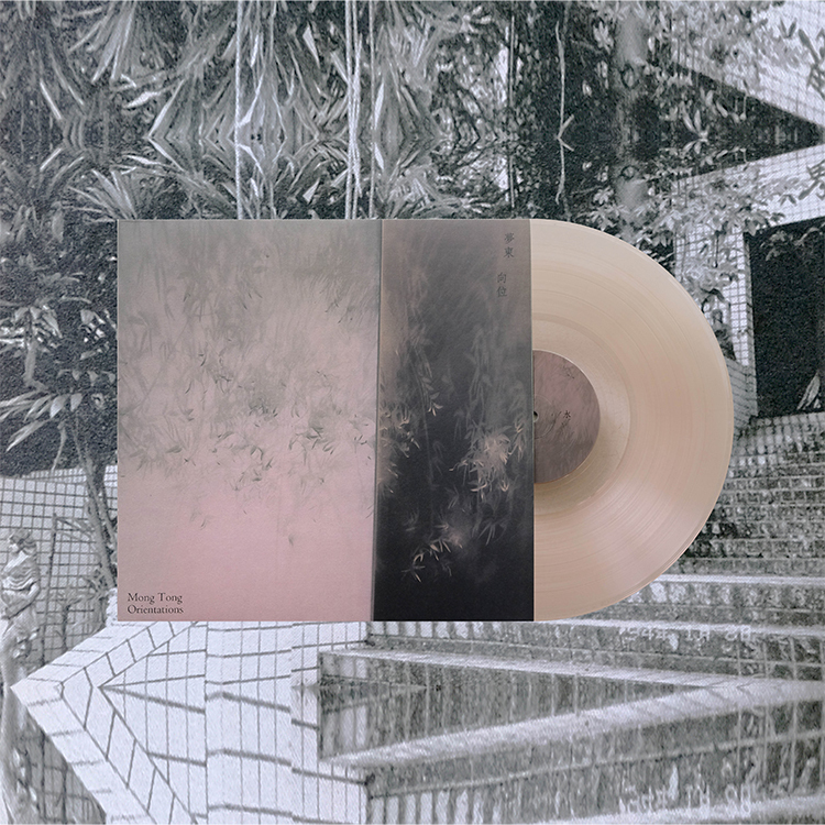 【Mong Tong】向位 Orientations (玫瑰透膠）