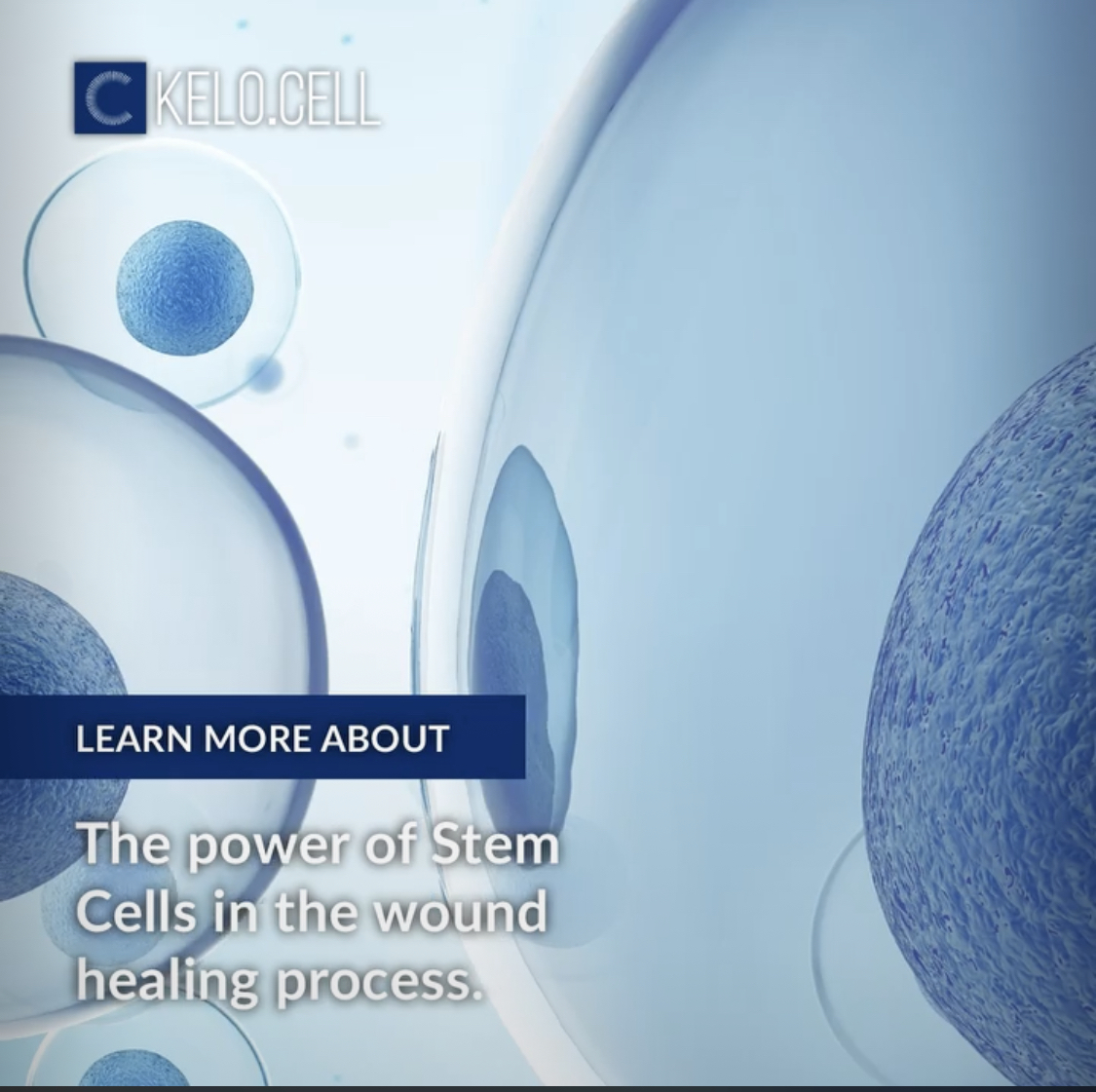 KELO CELL Biogel Power Stem Cells