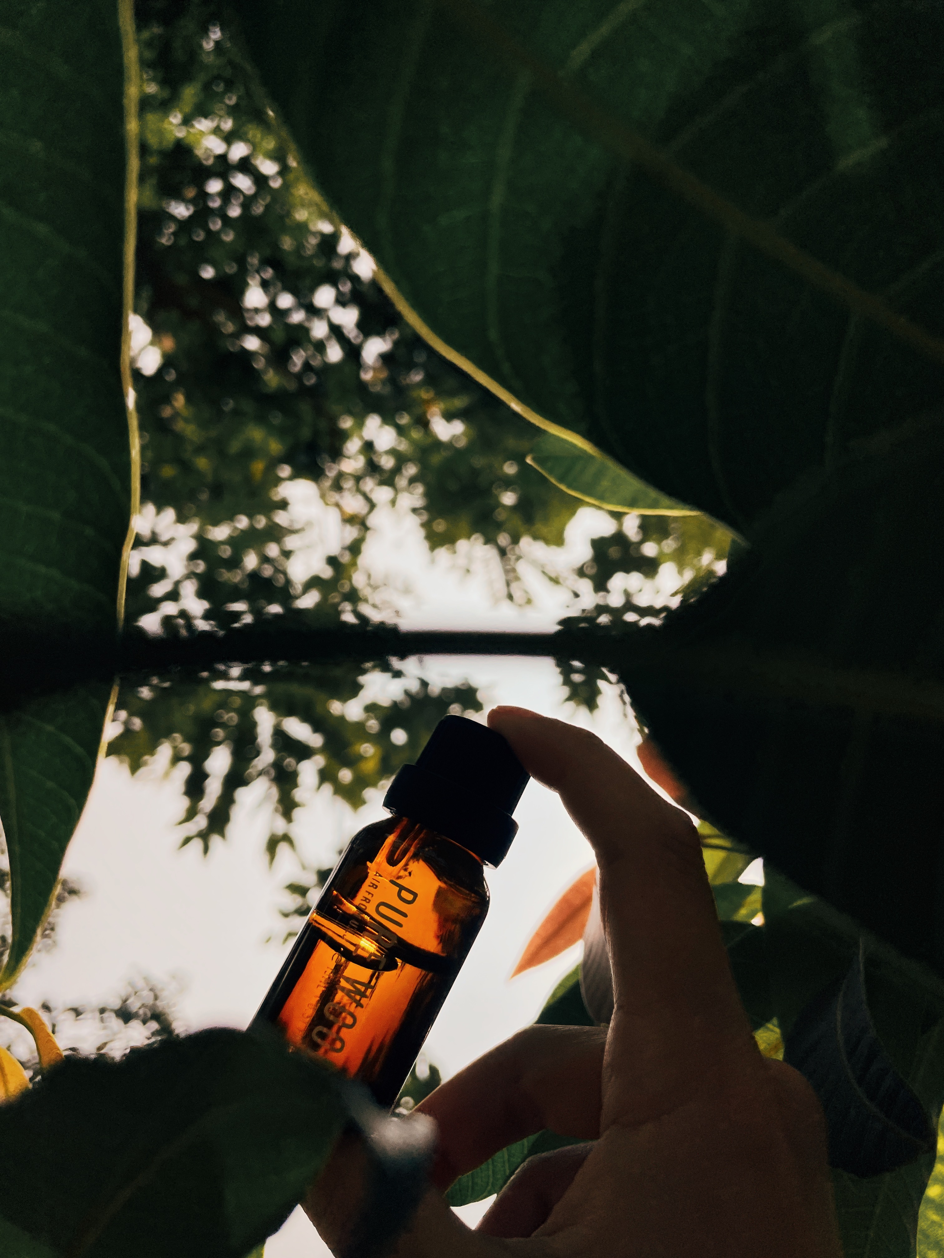 Air From U.I.J  - PURE WOOD