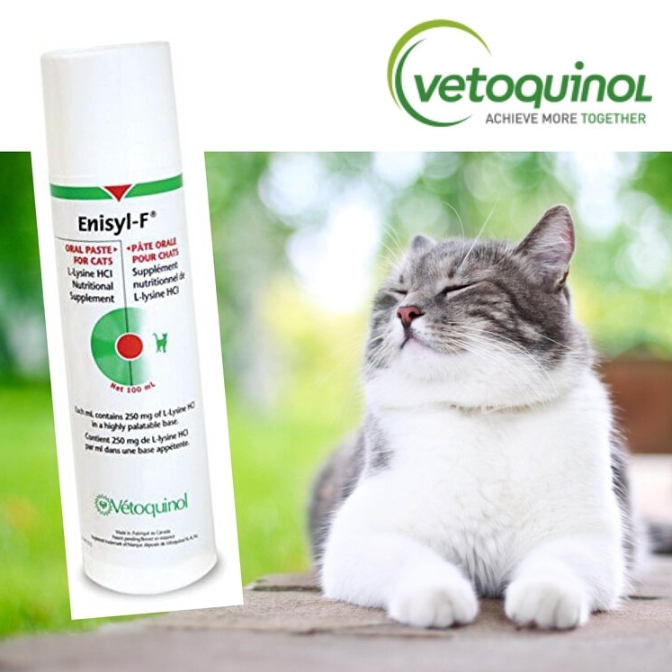 Vet Enisyl-F 氨基酸營養補充膏 100ml