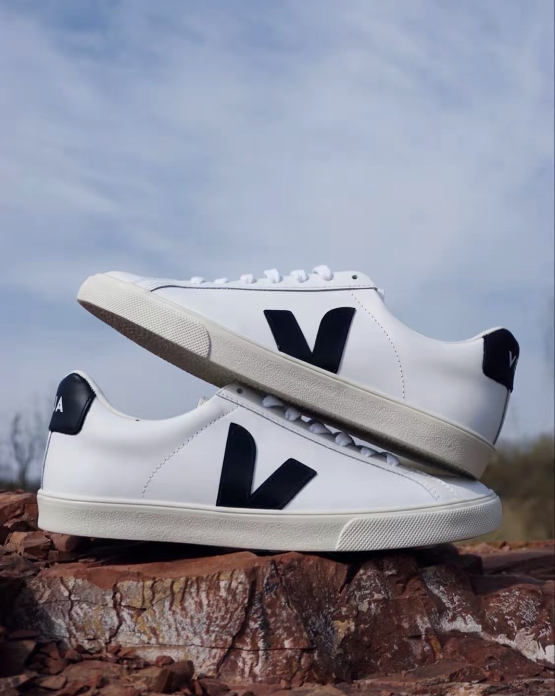 Veja Campo 皮革 黑V 小白鞋