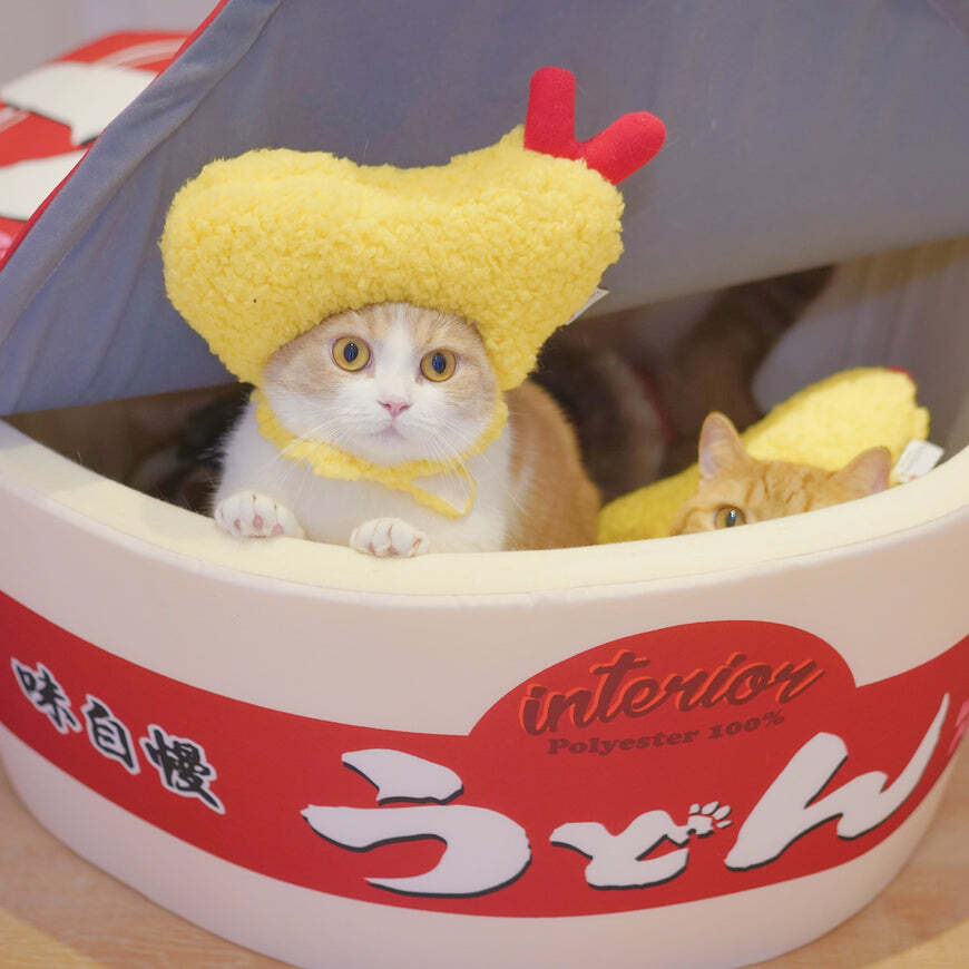 Kashima杯麵寵物窩