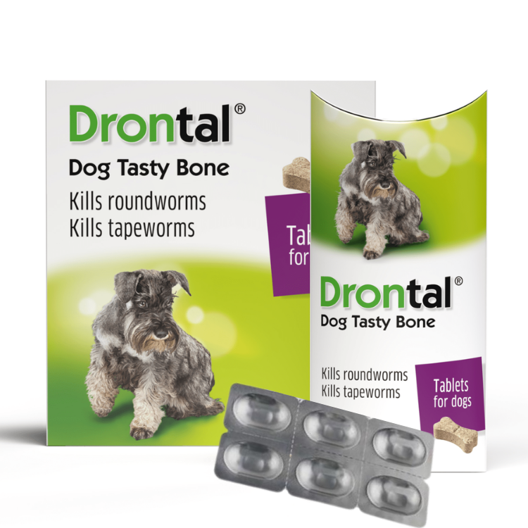 Drontal 犬用杜蟲藥 (6粒 單片裝)