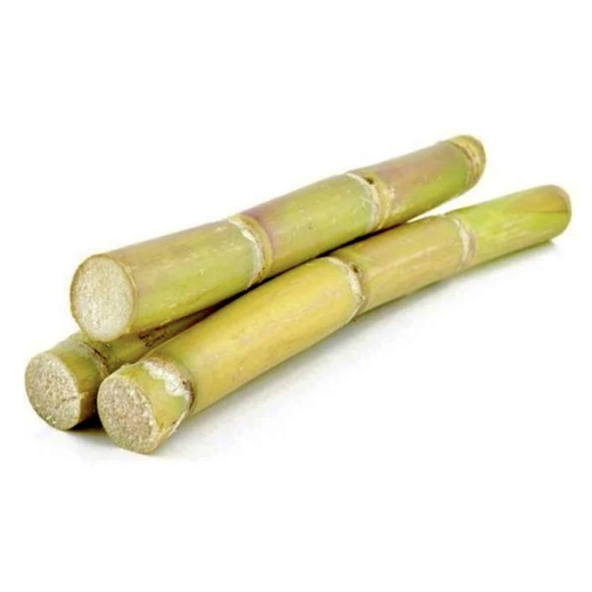 sugar cane